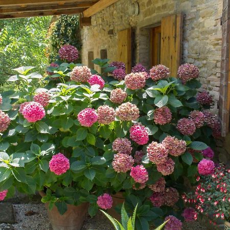 Casa La Valle, Gubbio, Frazione Santa Cristina Exterior foto
