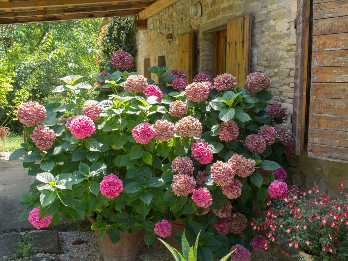 Casa La Valle, Gubbio, Frazione Santa Cristina Exterior foto